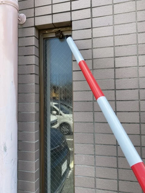 スズメバチ注意喚起